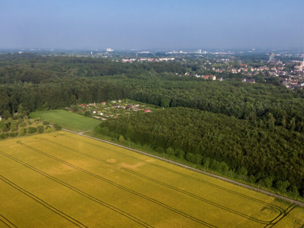 Blick über Lindenhorst