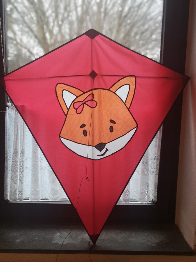 the completed Eddy-kite
