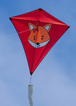 Unsere Ausrüstung: Drachen