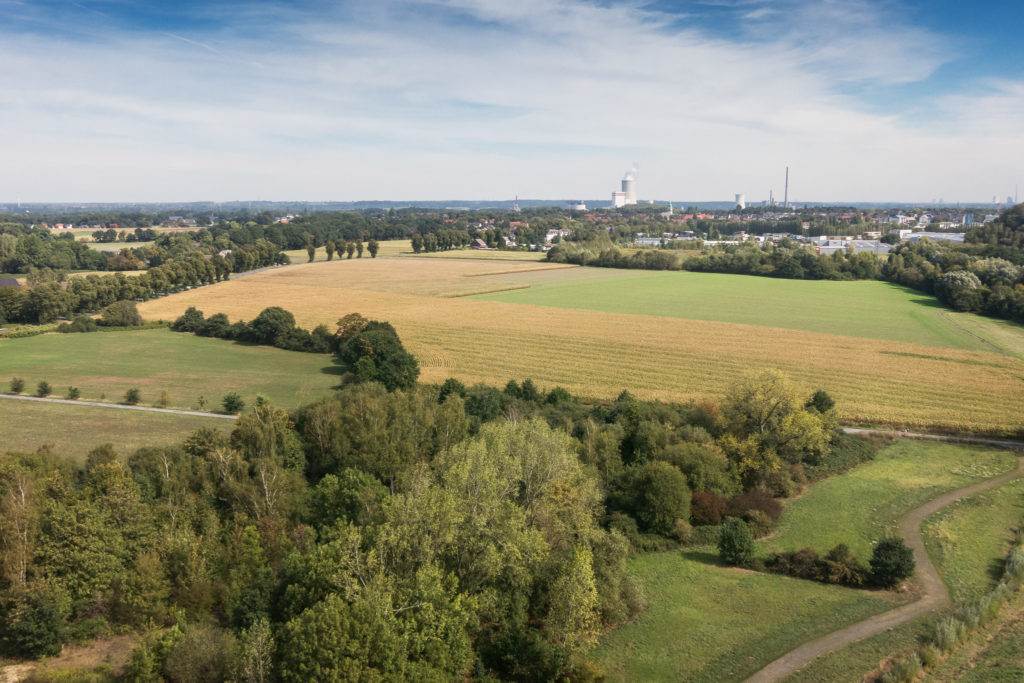 Blick vom Drachen über das nördliche Brambauer und das Münsterland
