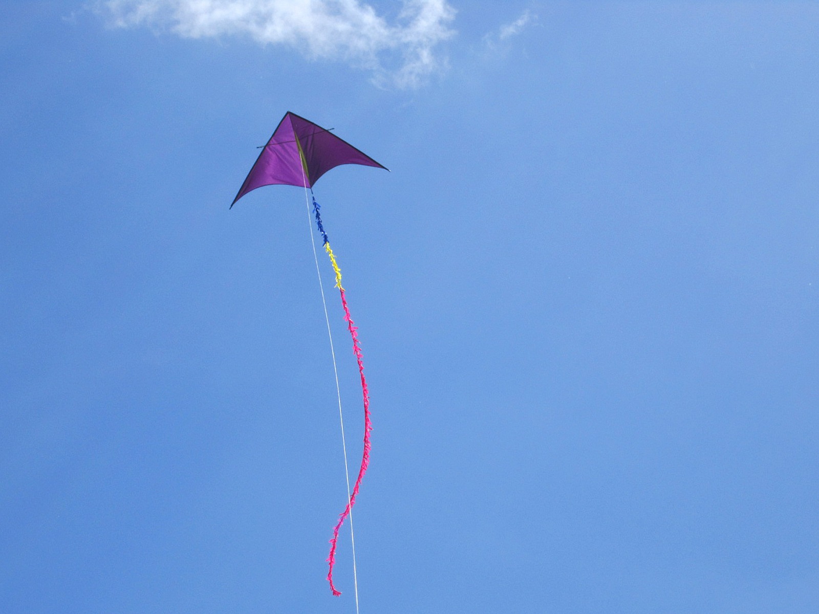 Der neu gebaute Delta Trooper