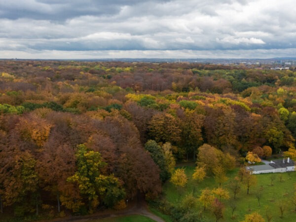 Dortmunder Herbst