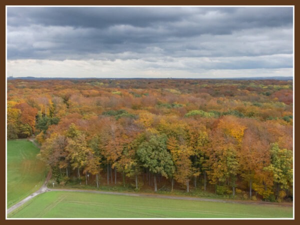 Dortmunder Herbst