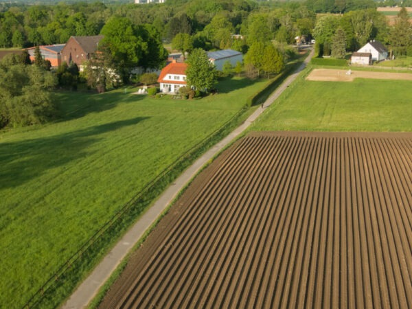 Ein Kartoffelacker