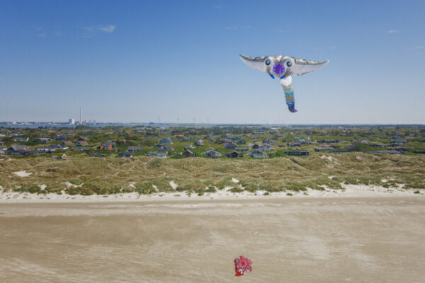 Kites abobe Rindby Beach