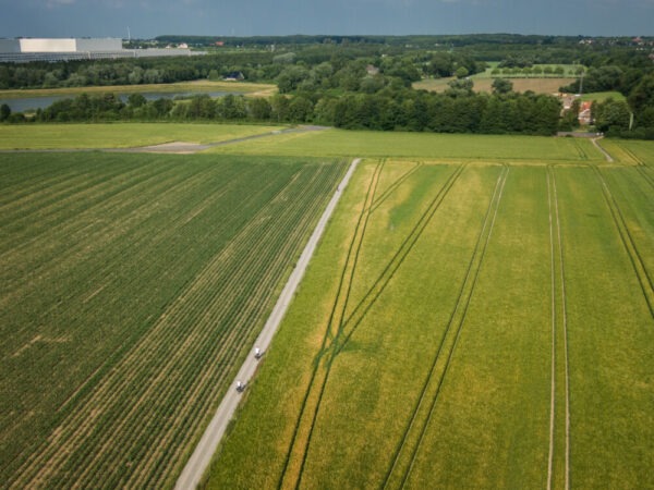 Linien auf einem Feld